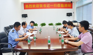 熱烈歡迎張書記一行蒞臨居然之家安徽分公司合肥長江東路店調(diào)研指導(dǎo)！