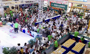 流程復(fù)盤 技巧相傳&mdash;安徽阜陽(yáng)店大型活動(dòng)流程培訓(xùn)圓滿完成 